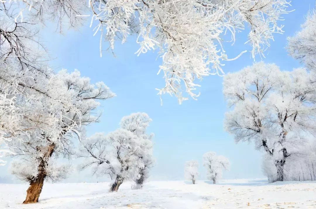 吉林市第25届中国·吉林国际雾凇冰雪节组委会公开征集冰雪文旅活动及宣传语KK体育(图4)