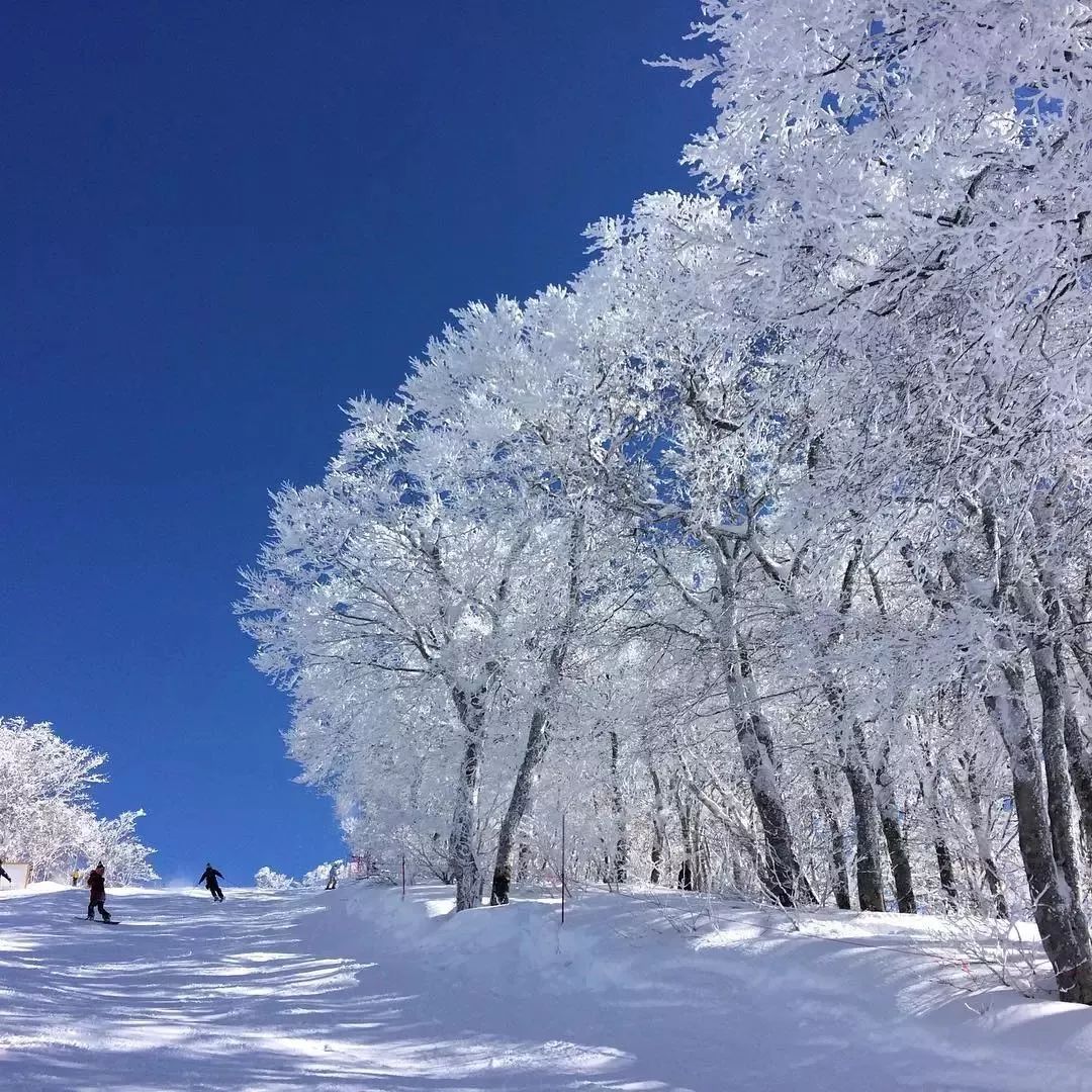 滑雪狂欢季 KK体育速度与激情不要错过这个冬天最刺激的Style！(图12)