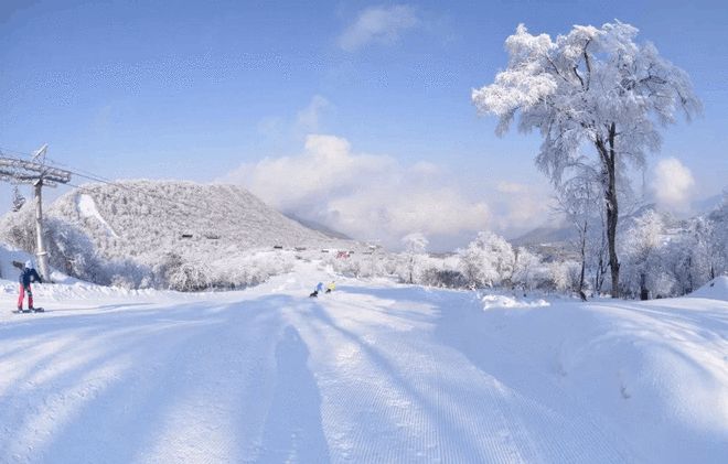 KK体育可以滑雪啦！四川最全的滑雪场盘点东西南北全都有最快2h！(图1)