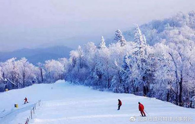 KK体育茫茫雪地任你驰骋国内顶级滑雪场推荐(图3)