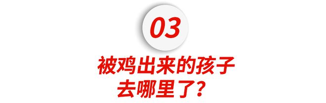 KK体育官网：进了海淀妈妈群一周后我退群了(图9)