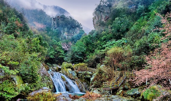 KK体育：快到“皖”里来！映山红满枝头、望春花遍山野金寨文旅邀您看“繁花”(图3)