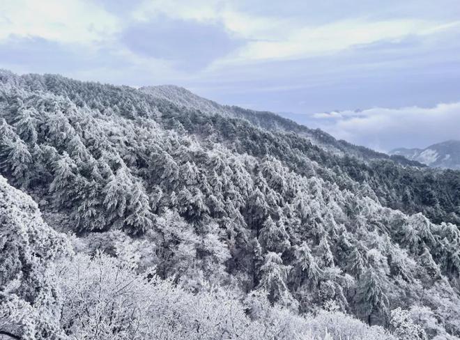 KK体育app：大别山和你想的不一样收下这份上春山攻略(图5)